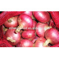 Chinese fresh red onion